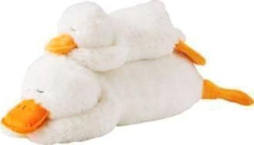 ニトリ様どうかこの「抱き枕ダック」を再販してください！！！！ 期間