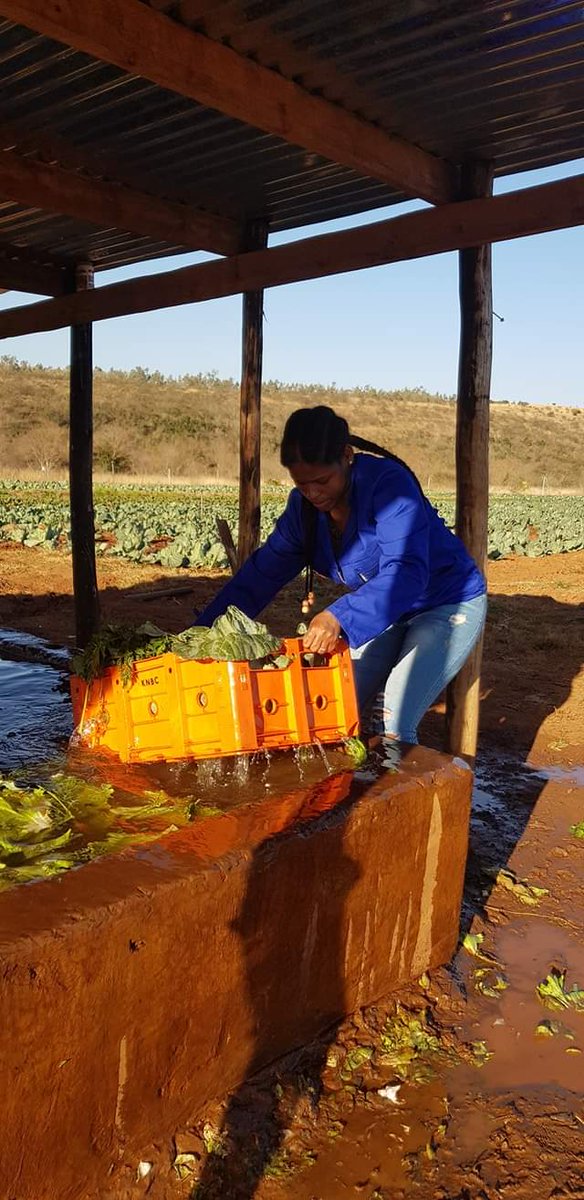 Katlego Maseng 🧠 tweet media