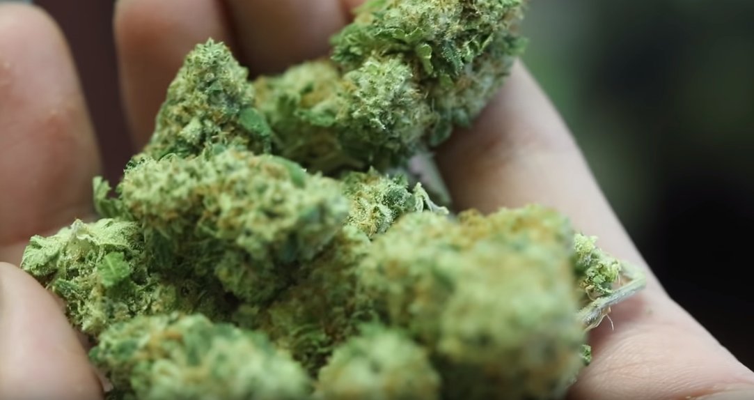 LuisFara's tweet image. 