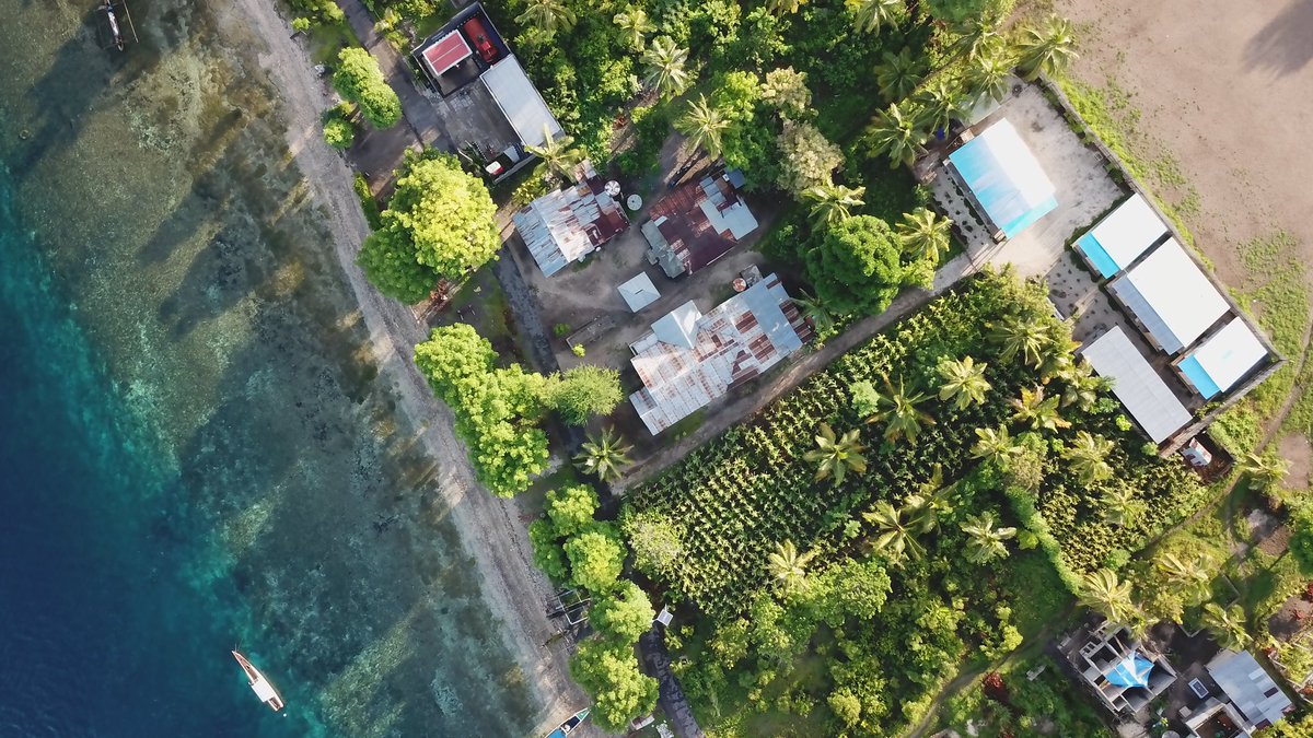 Air Dive Alor tweet media