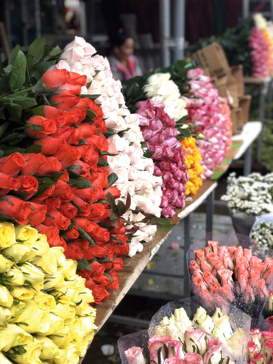 FormosaInvest's tweet photo. But ... If you bought roses, it's also ok ;) !! #womensday #roses https://t.co/LRGZiWUtcr