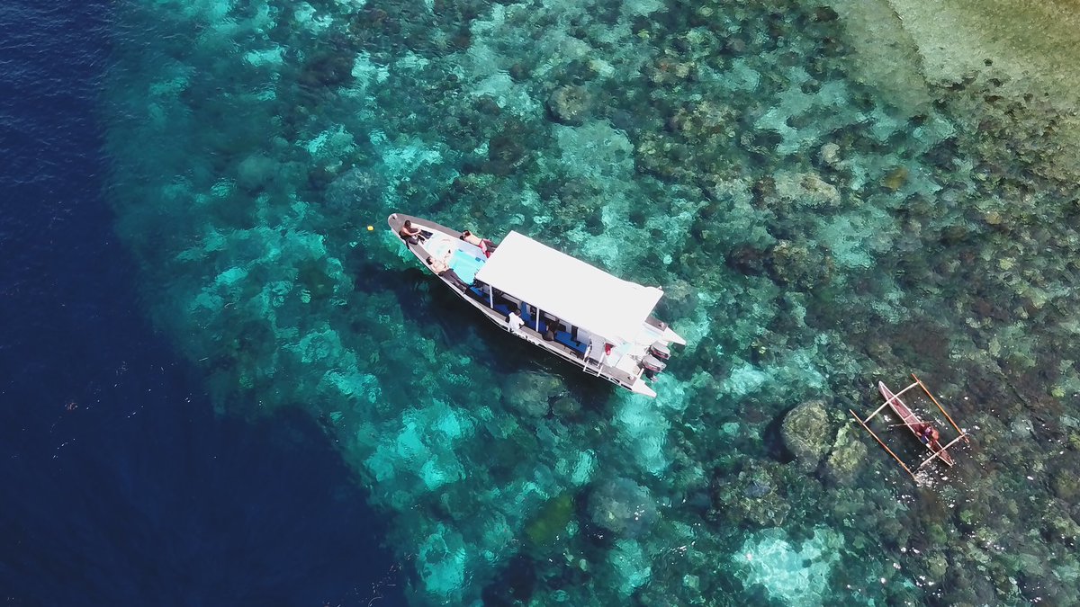 Air Dive Alor tweet media