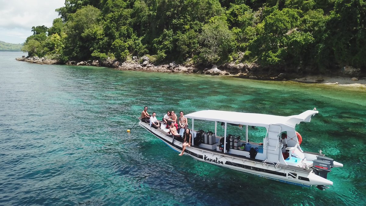 Air Dive Alor tweet media