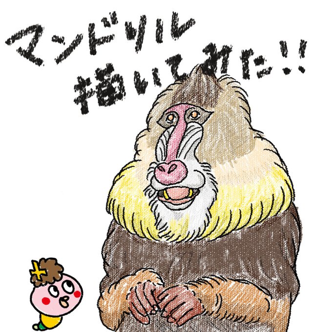 マンドリルのtwitterイラスト検索結果 古い順 マンドリルのtwitterイラスト検索結果 古い順