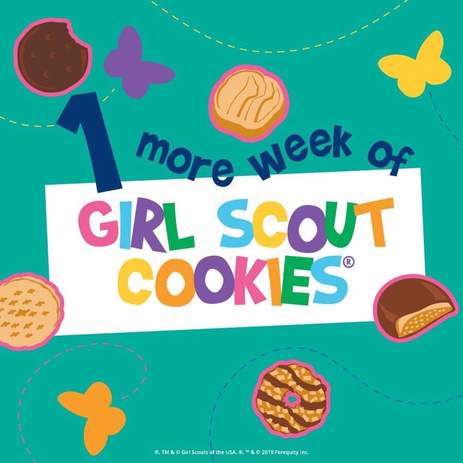 miz_fran's tweet photo. Last week of GIRL SCOUT SALES 
I HAVE A FEW GIRLS NEEDING TO SELL A FEW MORE COOKIES TO MAKE THEIR GOAL. SALES ENDS MARCH 15th at 11:59 PM

LET  me know if you need some more https://t.co/HOiek733ym
