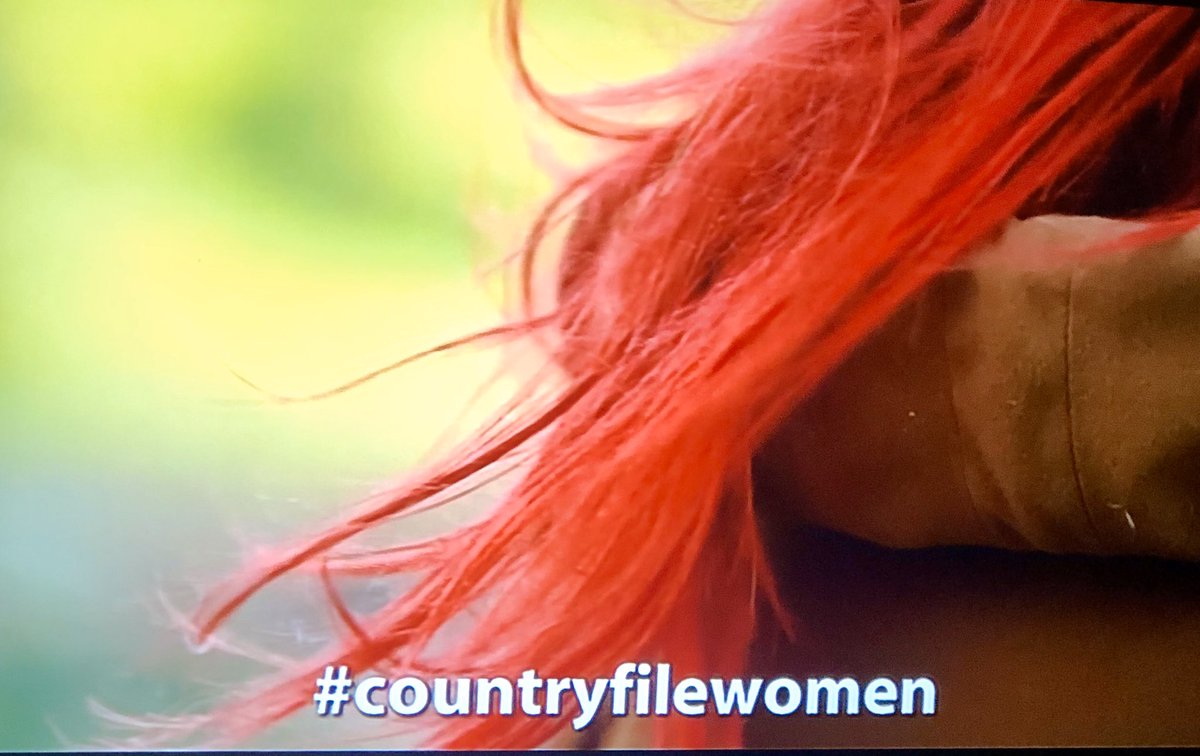armadalefarm's tweet photo. Unmistakable @redshepherdess on @BBCCountryfile interviewing @clancy_nina @sally_shortall @AndrewMccornick all members of #WomenInAgTaskForce Here’s a link to the courses recommended in report to increase diversity https://t.co/US37gdG8dT https://t.co/4ybQXI0HXF