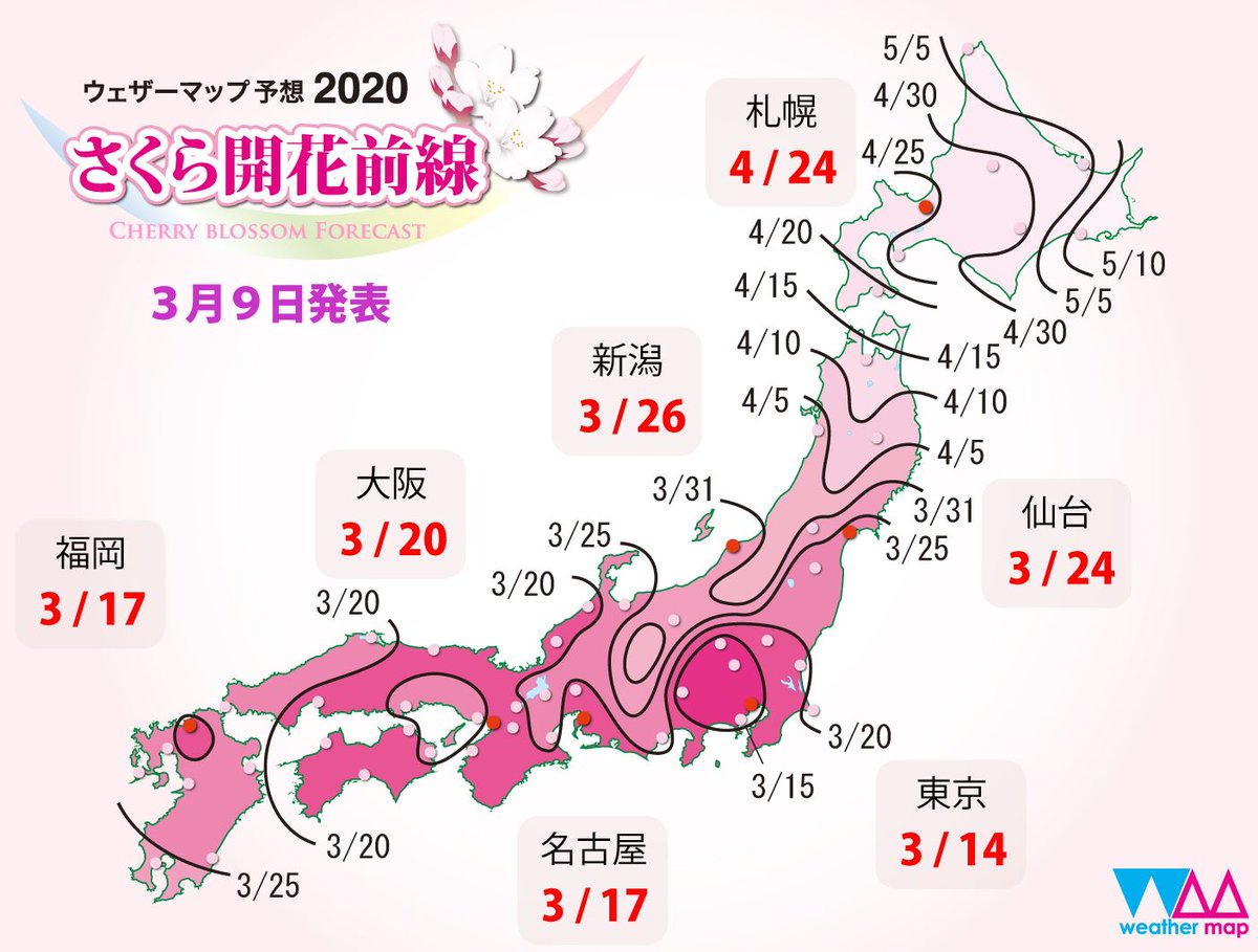 Сакура режим работы. Карта цветения Сакуры. Карта цветения Сакуры 2022. Интерактивная карта цветения Сакуры. Карта цветения Сакуры СПБ.