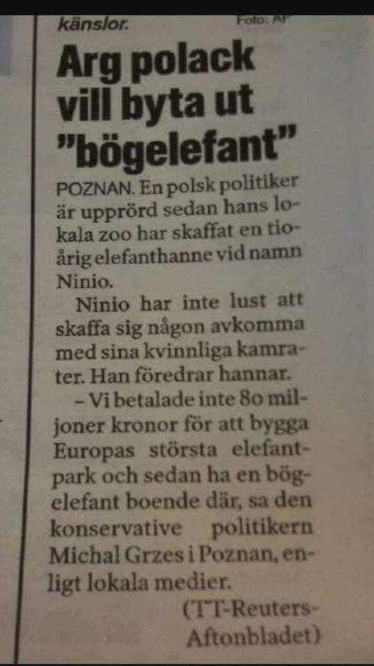 Svårt kränkt politiker: "Vi betalade inte 80 miljoner kronor för att bygga Europas största elefantpark och sedan ha en bögelefant boende där".