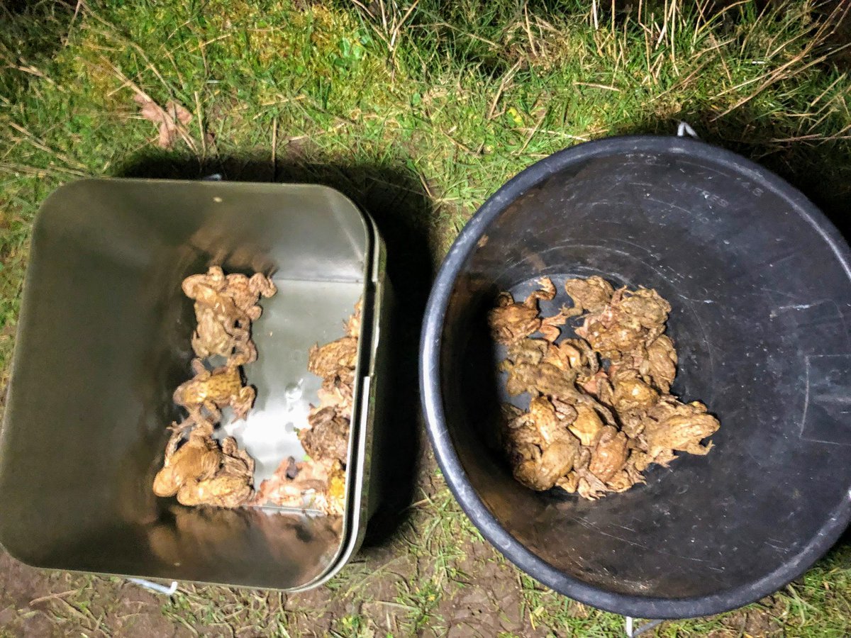 Angelina Jones tweet media