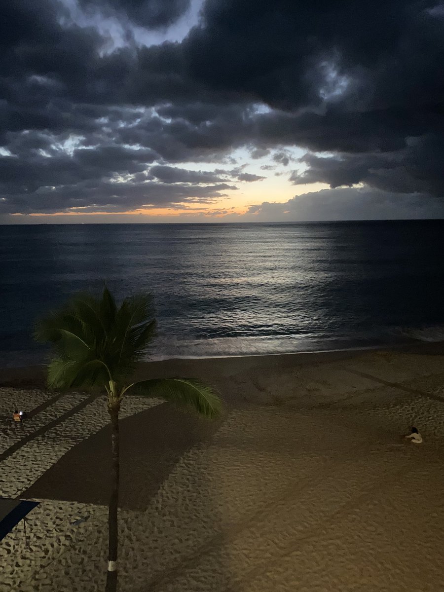 BrennanMarion4's tweet image. Jeremiah 29:11