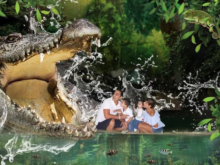 AdventuresKyan's tweet photo. Join @AdventuresKyan and stay updated on the best outdoor family outings and kids activities during this long break #kids #family #Dubai #UAE #mydubai https://t.co/E57s0Myr8H
