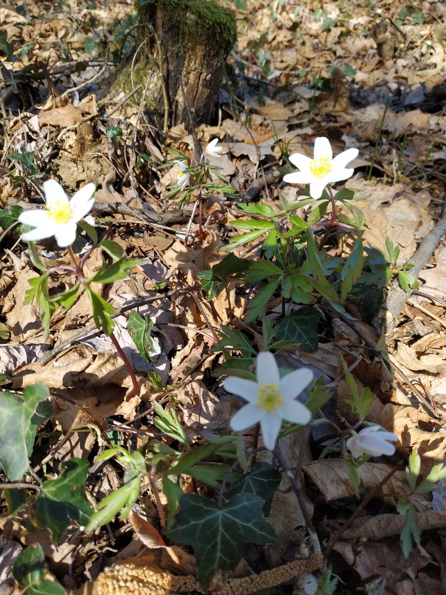 Graziella Anitamia48 Buongiorno Ai Pensieri Positivi E A Tutto Cio Che Ci Ruba Un Sorriso E Ci Infonde Speranza Carissima Anita Con Un Abbraccio Ti Auguro Una Splendida Settimana