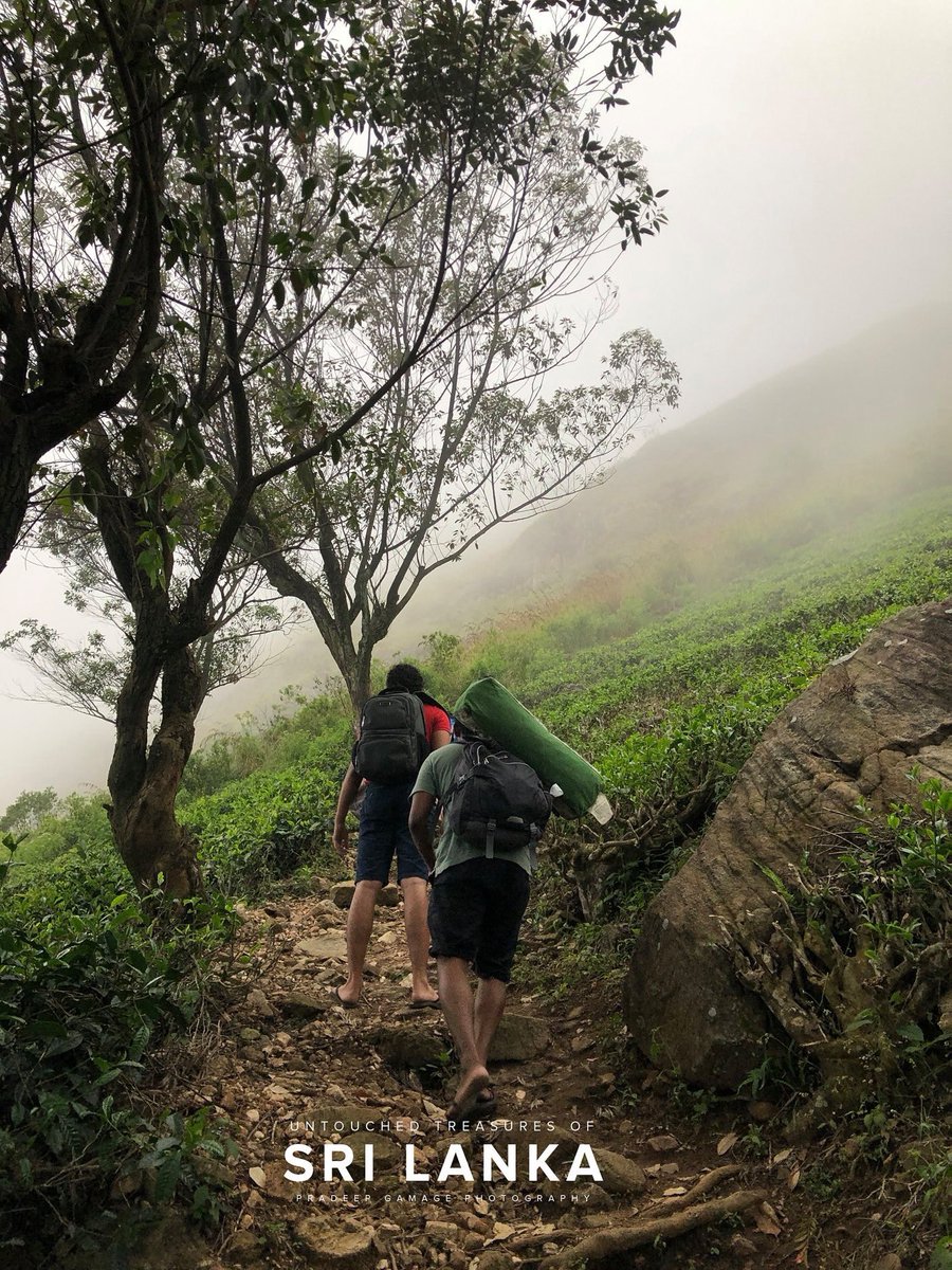 pavanaynay's tweet image. My beautiful paradise 🇱🇰❤️