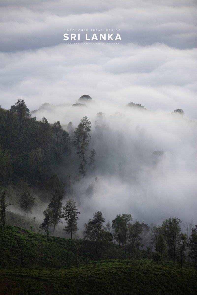 pavanaynay's tweet image. My beautiful paradise 🇱🇰❤️