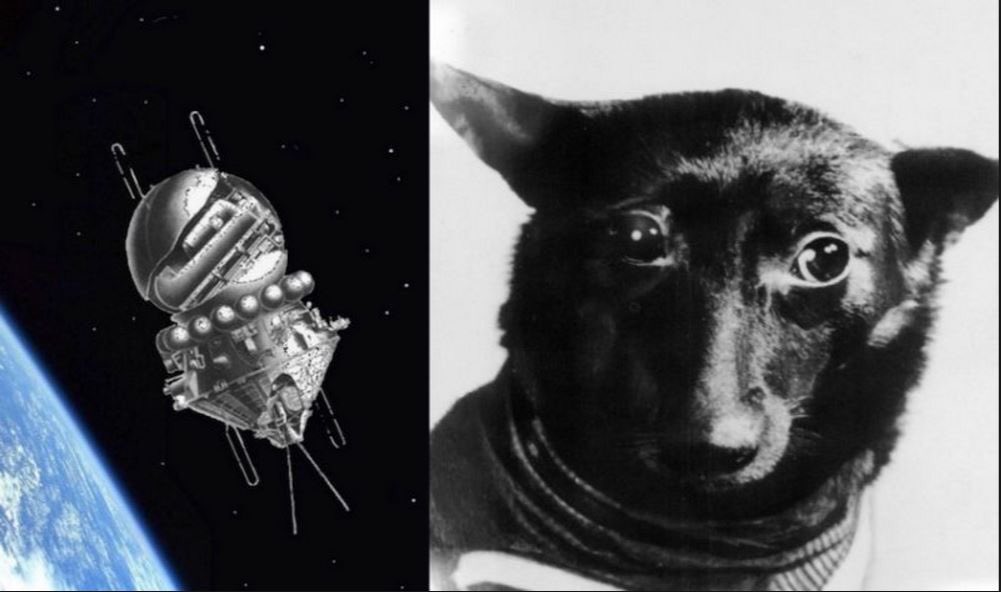 Ana Julia على X: "El 9 de marzo de 1961 se lanzó el Sputnik 9 o Korabl- Sputnik 4 (la primera prueba de la nave Vostok 3KA) con la perrita Chernushka ('negrita'), ratones