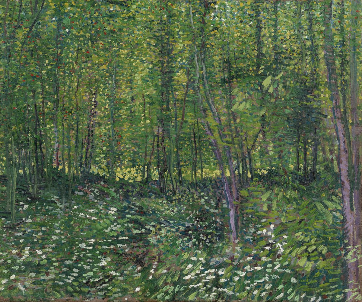 'Trees and Undergrowth' - Vincent van Gogh, CA. 1880s. #trees  #treelove  #art  #VanGogh