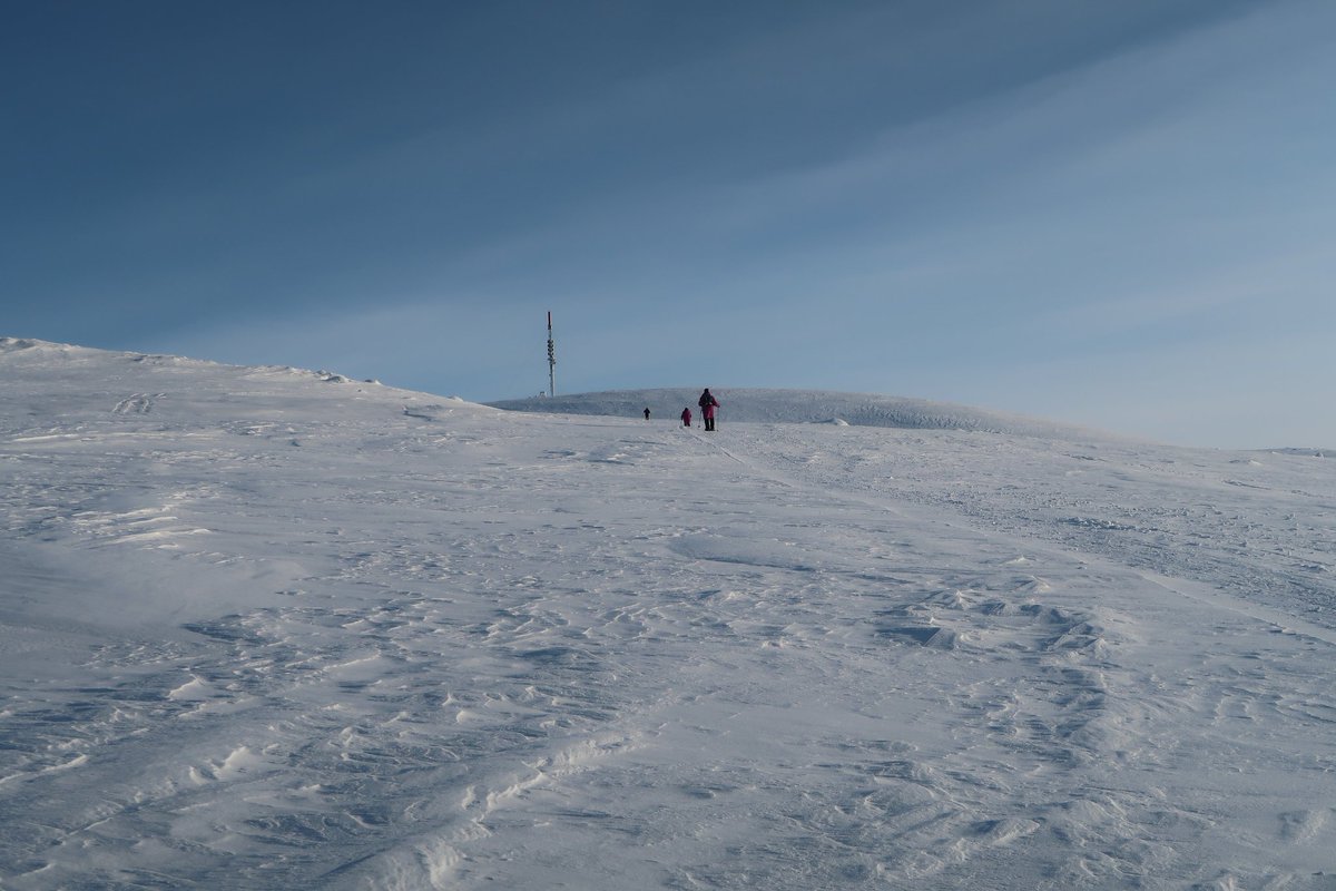 KMhansabar's tweet photo. The way to the #top of the highest #peak 🏔 It is called Láŋká. The peak is 620m high and recognizable from the #mast 😎 It's about 6km from the #hotel to all the way to the top but the view is worth #climbing 😊

#karigasniemi #utsjoki #lapland #Finland #exploreutsjoki #Ailigas https://t.co/vqbcU9vBeC