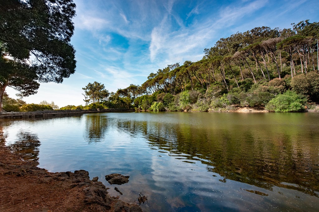 alentejo_1970's tweet photo. 4 #Lagons to visit near #Lisbon
#LagoaAzul - #Sintra
#LagoadeÓbidos - #Óbidos
#LagoadeAlbufeira - #Sesimbra
#LagoadosMosqueiros - #Sintra https://t.co/7q0o94E4sz
