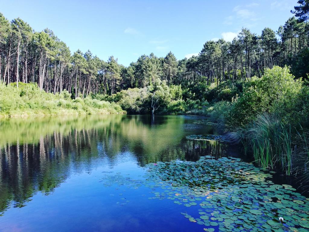 alentejo_1970's tweet photo. 4 #Lagons to visit near #Lisbon
#LagoaAzul - #Sintra
#LagoadeÓbidos - #Óbidos
#LagoadeAlbufeira - #Sesimbra
#LagoadosMosqueiros - #Sintra https://t.co/7q0o94E4sz