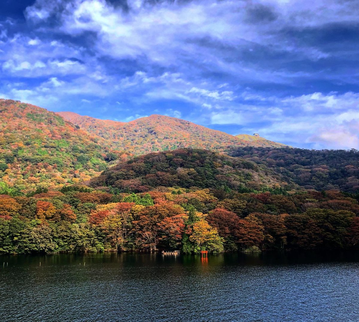 Fayme Social Media Management tweet media