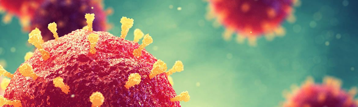 Advice to small businesses about the novel coronavirus COVID-19

ow.ly/yO1w30qo7Fj