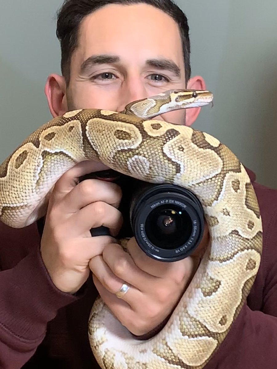 How close is too close? One of our students this weekend on the Up Close and Personal Wildlife Photography Workshop @MayfieldAlpacas #photography #photographyworkshop #Python #macro <a href="/goingdigital/">Going Digital</a> #learntouseyourcamera #wow #fundayout