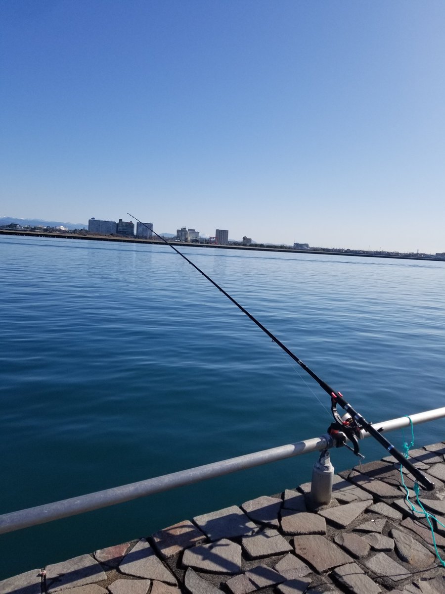 ななろぼ 浜名湖新居海釣公園 朝7時から15時まで泳がせ釣り ポイントも数ヶ所変えてみたが全く当たり無し 青物やヒラメちゃんは何処にいるんでしょうかね T T ななろぼ 浜名湖新居海釣公園 朝7時から15時まで泳がせ釣り ポイントも数ヶ所変えてみたが全く当たり無し 青物やヒラメちゃんは何処にいるんでしょうかね T T