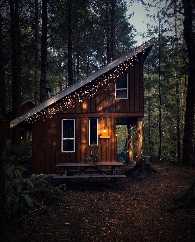 Cabins in the wild. (cabinslife) Twitter