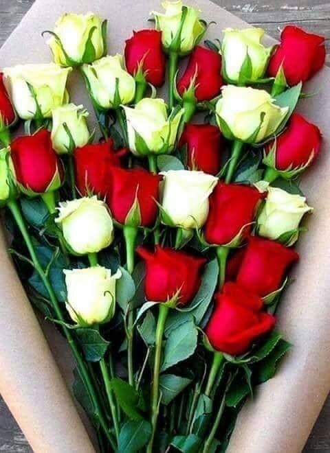 Kadınlar gününüz kutlu  olsun