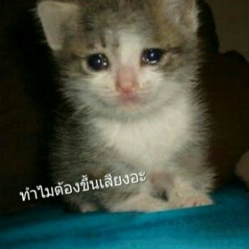 AYR_SARAN's tweet photo. @MR_DANNICK กุบอบบาง! https://t.co/1oF4LrfaiP