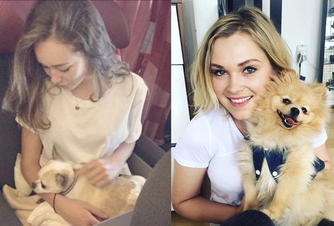 LexaGold1's tweet photo. Puppies holding puppies 🥰😚❤
#MyAussieBabes #SoAdorable #AlyciaDebnamCarey #ElizaTaylor https://t.co/uyDRaVm75S