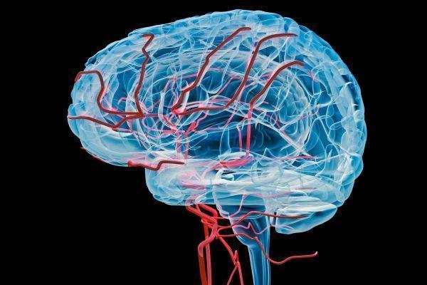 JakePre52165680's tweet photo. #Commissuralfibers or #transversefibers are #axons that connect the two hemispheres of the #brain. 

Web: https://t.co/3nxKDx1O4p

#neuroscience2020 #neurosciencesymposium #eventbriteneuroscience #neuralcomputation #neuroscienceconference2019 #neuroscienceorganisations #neuro2020 https://t.co/3Qi3eU171x