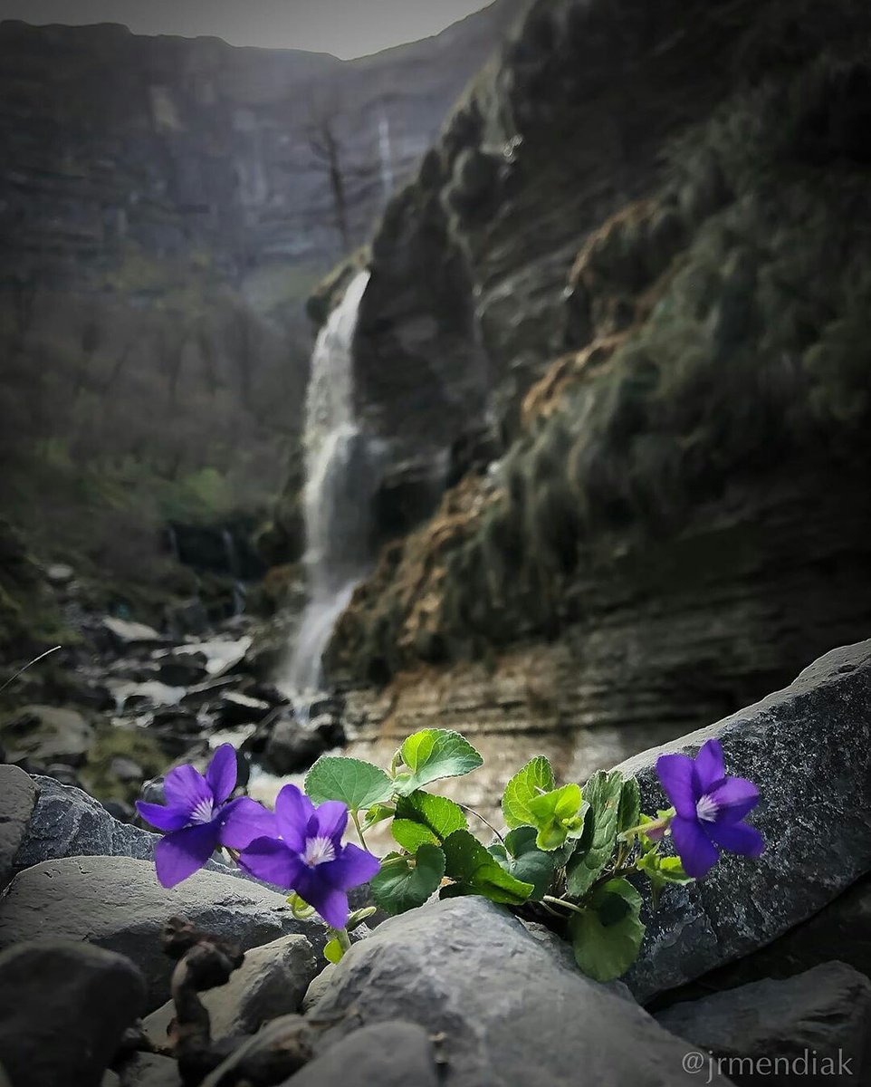 Homenaje a las mujeres.
Delika, Euskadi.
El precioso detalle de <a href="/jrmendiak/">Roberto montes</a>