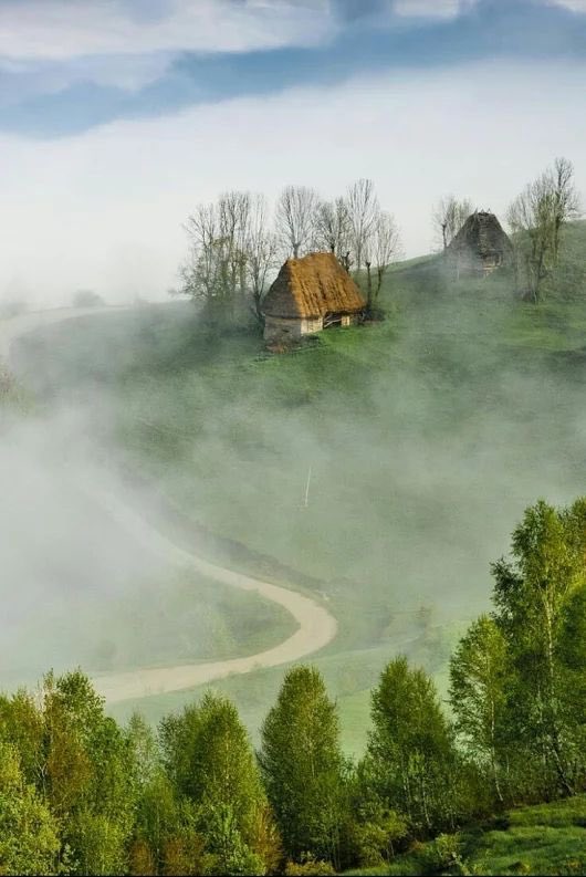 peter lockett tweet media