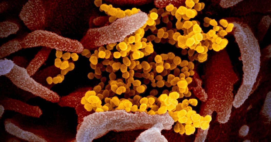 Coronavirus Live Updates: Death Tolls Soars in Italy as Asia Markets Plummet dlvr.it/RRWRmX