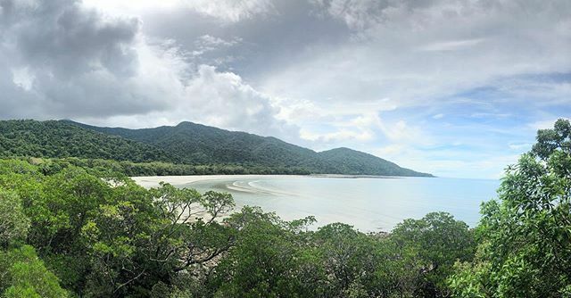 chlocy's tweet photo. reminiscent of the macritchie treetop walk 🤔 albeit with crocodiles in the ocean, cassowaries in the trees, little red mangrove crabs in the creek; we learned today the daintree is the oldest rainforest in the world... with a monsoon season in march #letsgosomewhere #beforei… https://t.co/k2tZzSQZB7