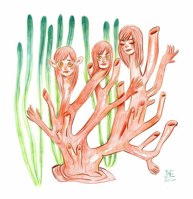 janedansjungle's tweet image. Femmes-Corail. J&apos;ai toujours trouvé étrange que les coraux soient en réalité des animaux. 🤔 
#corail #crayoncouleur #sketchbookpractice