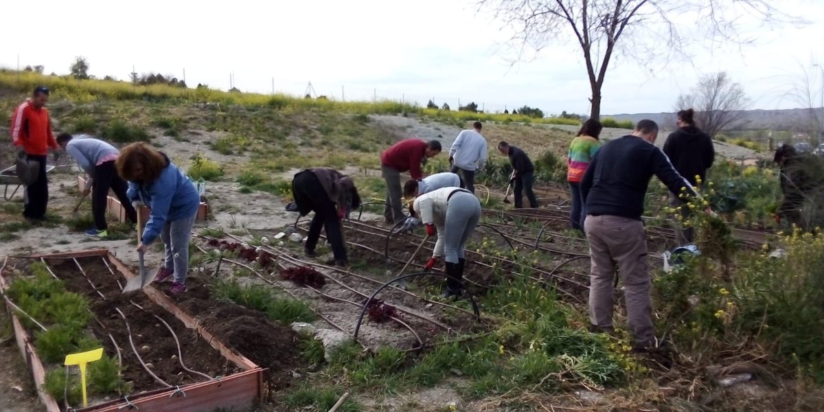 Humana3C's tweet photo. Puesta a punto de la huerta y preparacion de los semilleros del progama #Humana3C en San Agustín del Guadalix. #Colaborar #Semillas #CrearComunidad https://t.co/LTF2cEcaXA
