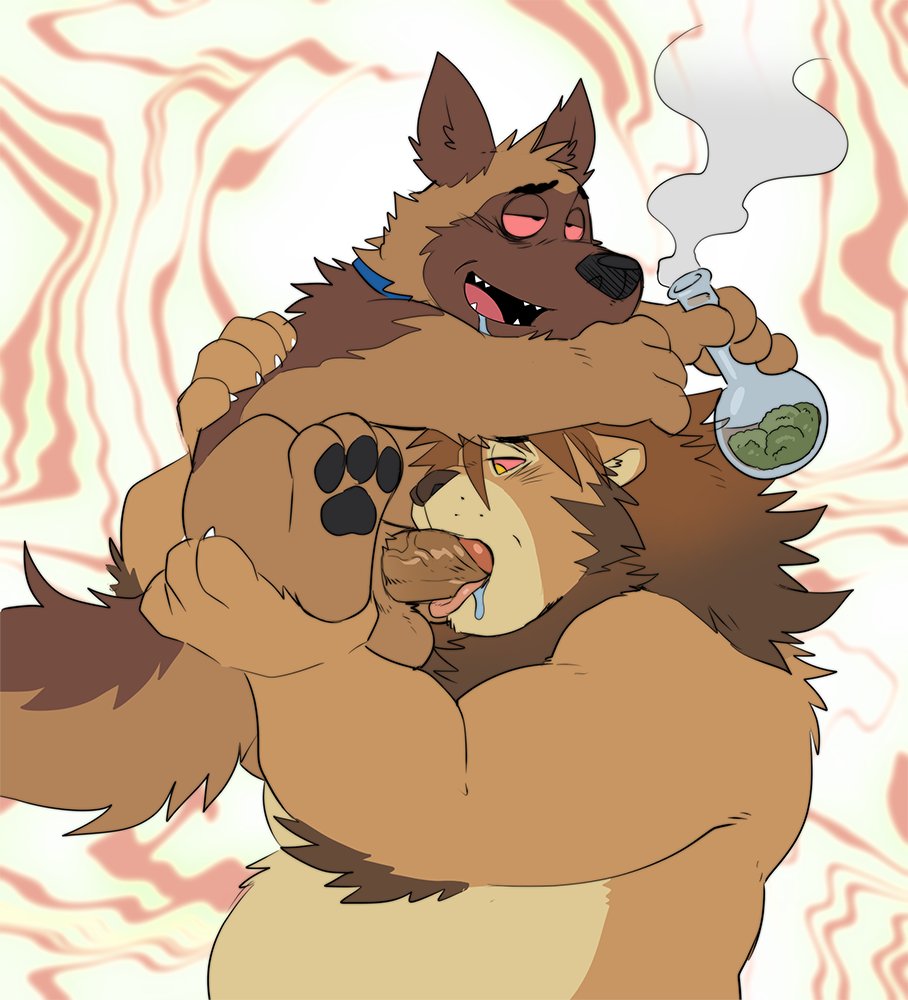 Having some fun with the #1 drug dog Bullet @arashi_takemoto did this for m...