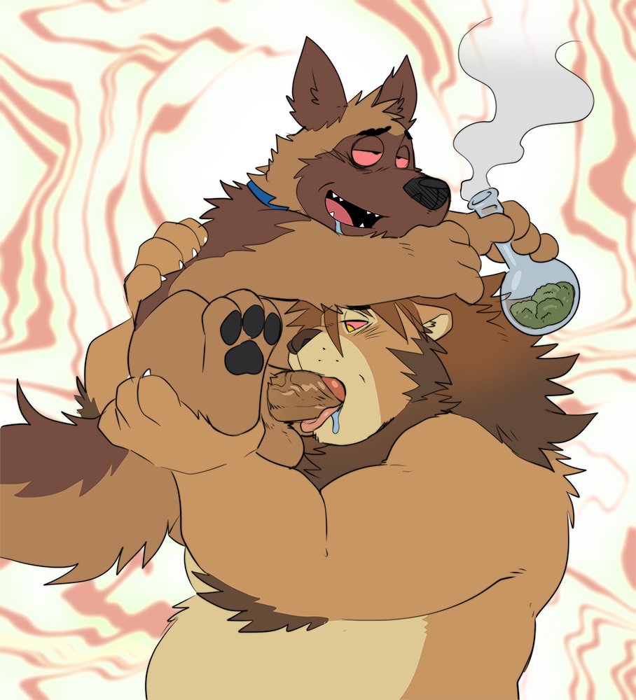 “Having some fun with the #1 drug dog Bullet @arashi_takemoto did this for ...