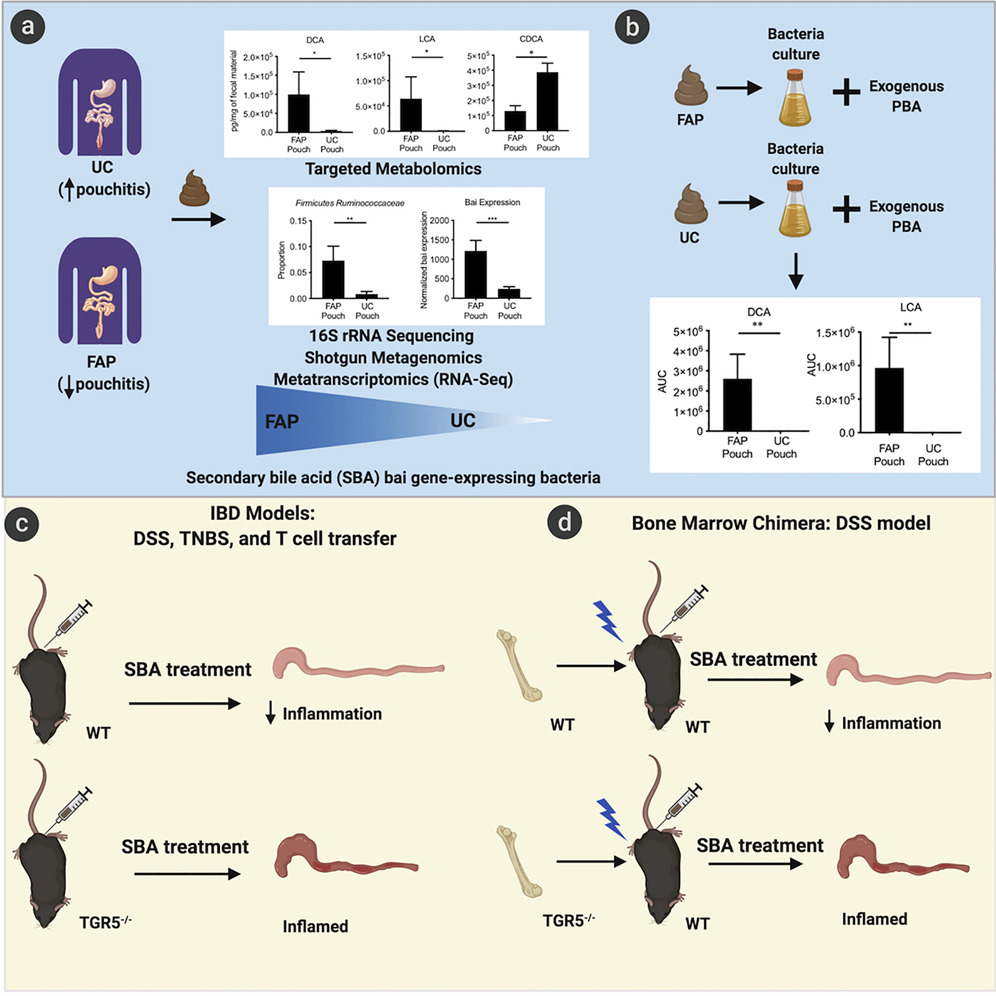 ?رفقا بالباكتيريا?المعوية النافعة...

حيث يمكن أن تكون الميكروبات??المعوية أساسية لعلاج #التهاب #الق...
