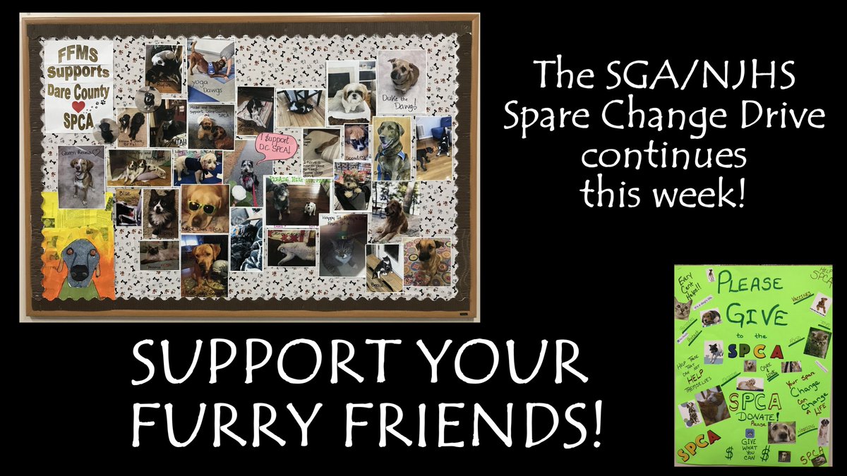 First Flight Middle School (@ffmsseahawks) on Twitter photo 