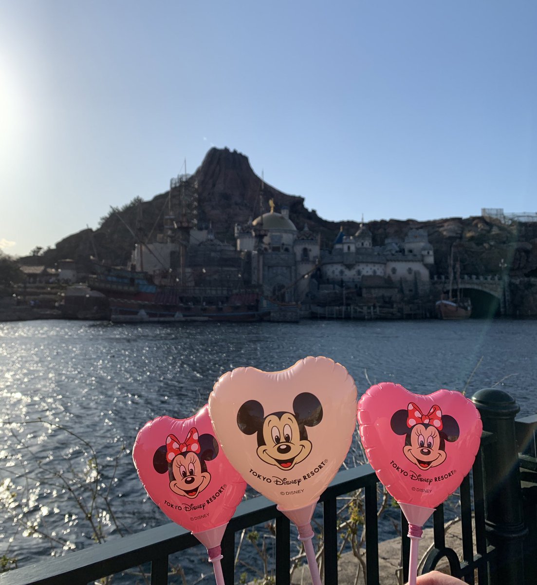 こんばんは！
今日から週変わりツイート2週目を担当します、🌹シタッパです🌹
私は明治大学に在籍中でして、現在は御茶ノ水にあるキャンパスに通っています😌ちなみに私も舞浜には1時間半かけています。電車がトモダチ！プップー🚃
この1週間何をツイートしようかワクワクですね🥺🥺！
#春から明治