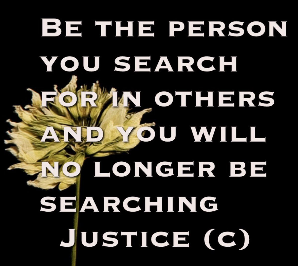 JusticeKChambe1's tweet photo. #thoughts #MondayMotivaton #MotivationalMonday #Motivation #feels #MorningJoe https://t.co/YPWrnR7pFS