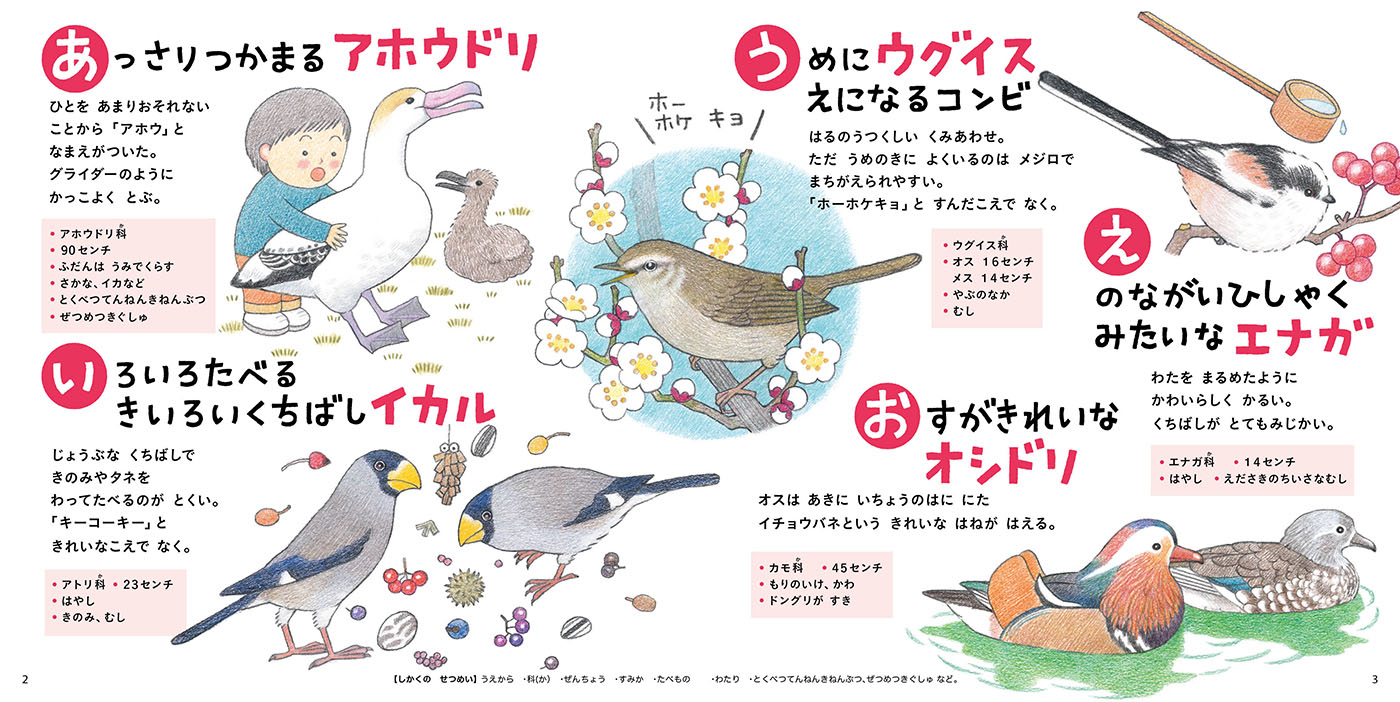 Kodomoe コドモエ 編集部 Kodomoe4月号 発売中 日本で見られる主な野鳥56種類をご紹介している とりのずかん あっさりつかまるアホウドリ など 豆知識を盛り込んだ あいうえお の語呂合わせで 身近な鳥 絶滅が心配される鳥 外国から来 Kodomoe コドモエ 編集部 Kodomoe4月号 発売中 日本で見られる主な野鳥56種類をご紹介している とりのずかん あっさりつかまるアホウドリ など 豆知識を盛り込んだ あいうえお の語呂合わせで 身近な鳥 絶滅が心配される鳥 外国から来