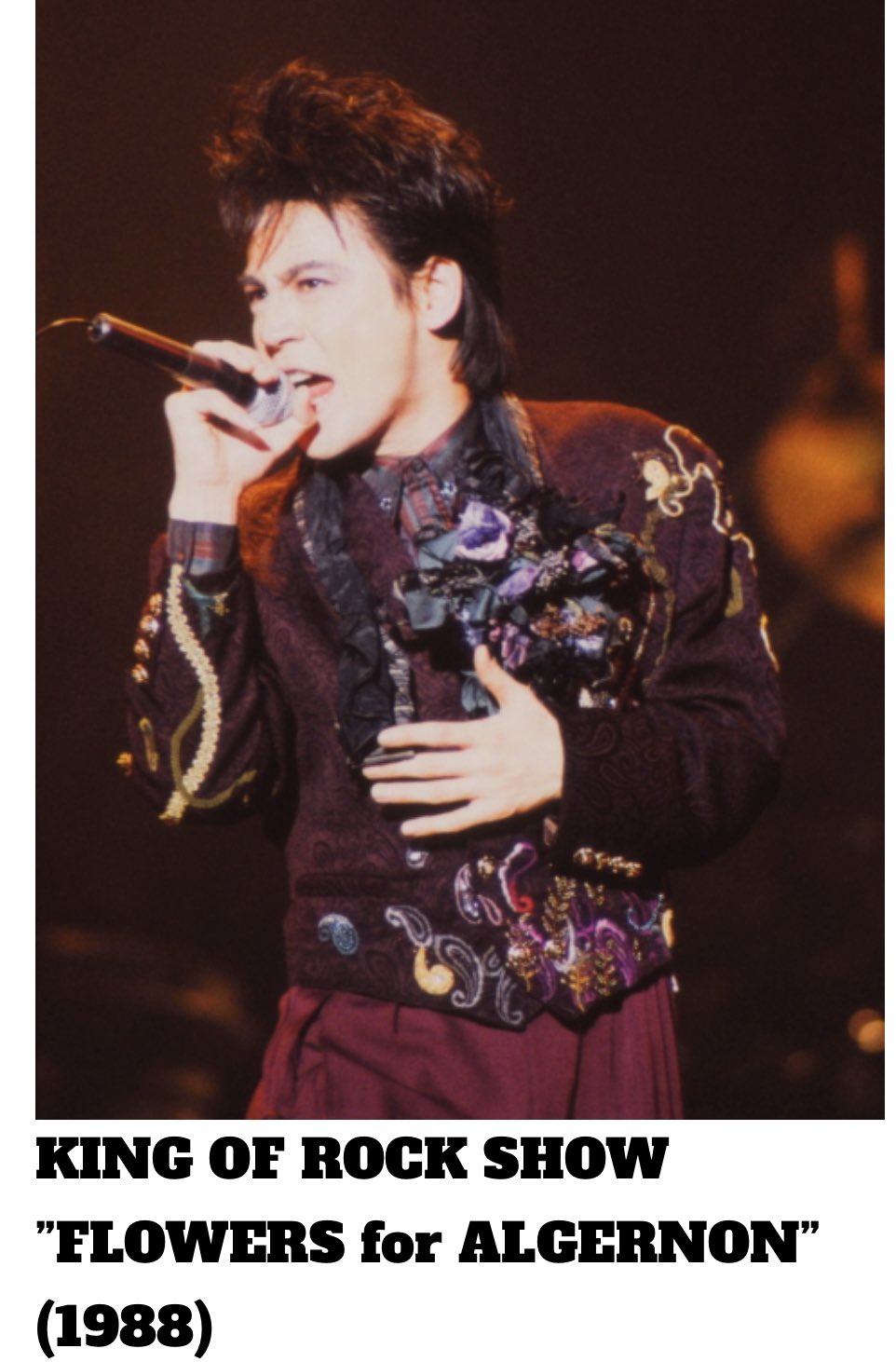 氷室京介/KING OF ROCK SHOW 88'S-89'S TURNIN… 【公式通販】