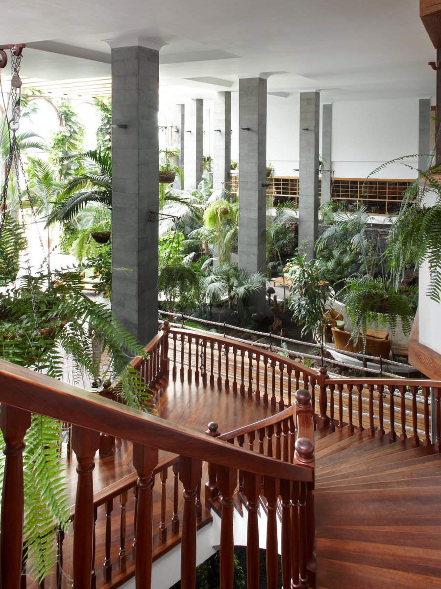 Pasarelas que vuelan sobre un impresionante Jardín Tropical 🌴