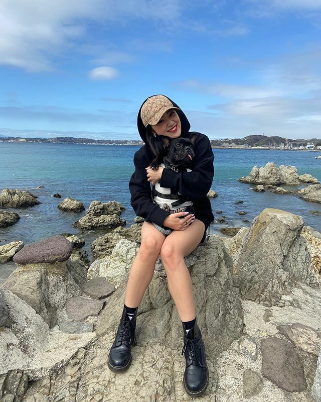 sea__summer's tweet photo. 三郎とだいすきな海🏖💕💙
photo by まま　@orehasaburo 🐶
.
海はのーふぃるたーがいちばんね https://t.co/qGpNbplwOZ https://t.co/hBIDxs36cN