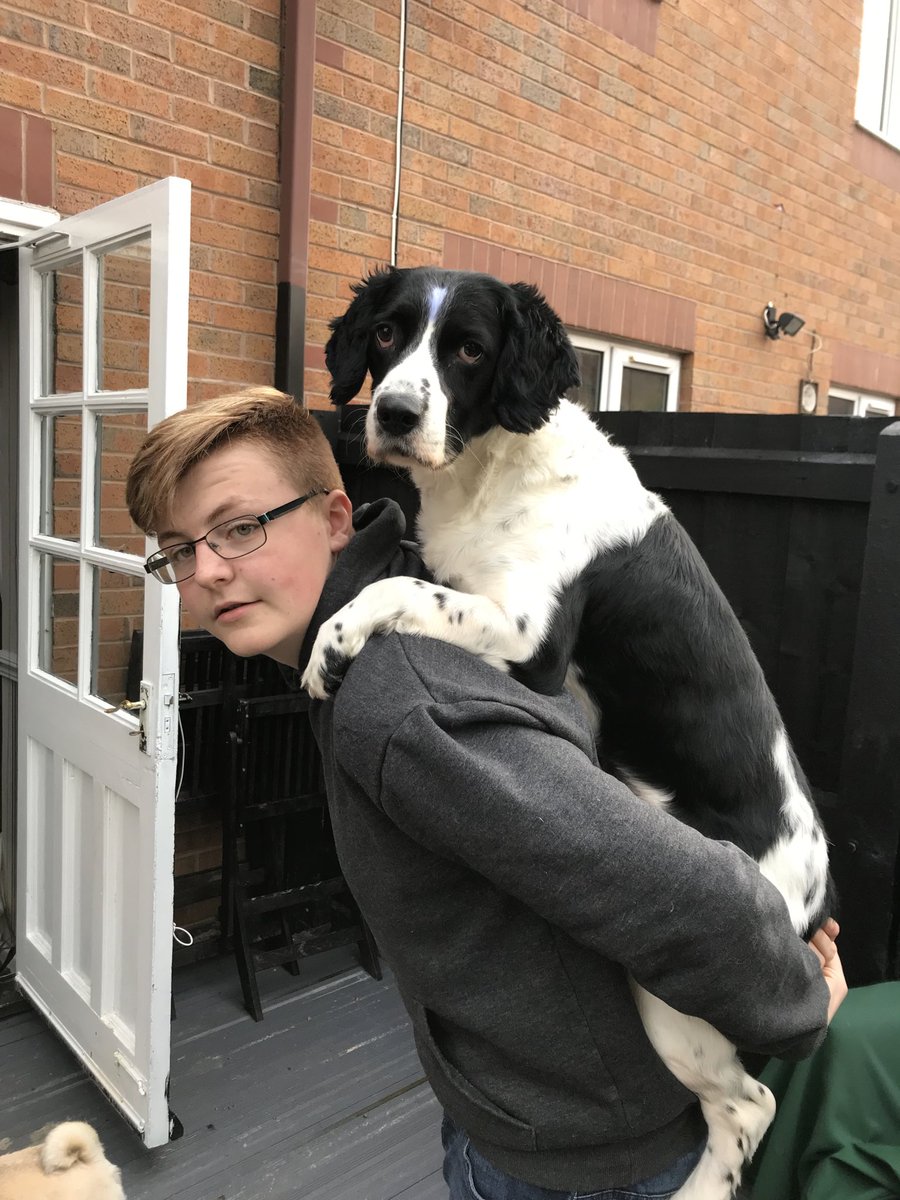 Top_Cat67's tweet photo. Just taking the dog for a walk Dad https://t.co/qElSx4Oxdq