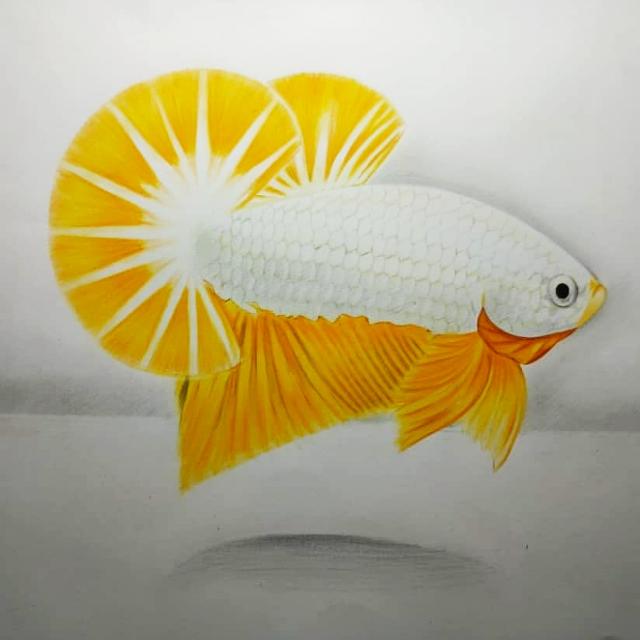 bettamonk tweet picture
